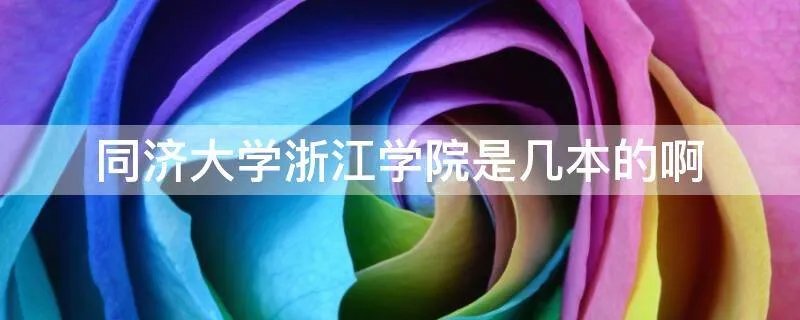 同济大学浙江学院是几本的啊