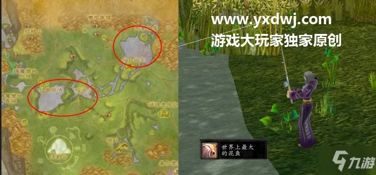 tbc钓鱼日常世界上最大的泥鱼-世界上最大的泥鱼在哪钓?