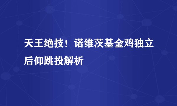 天王绝技！诺维茨基金鸡独立后仰跳投解析