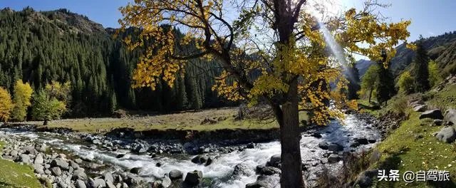 一日游去哪里好玩？