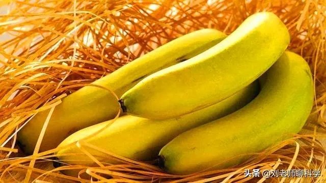 人和动物最大的相同点是什么？