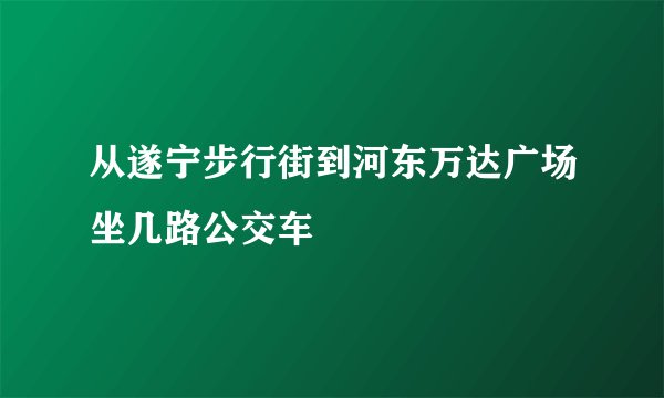 从遂宁步行街到河东万达广场坐几路公交车