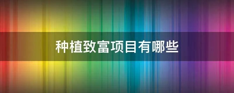 种植致富项目有哪些