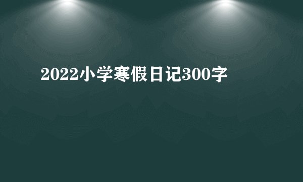 2022小学寒假日记300字