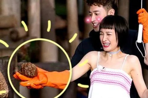 2017年综艺节目排行榜有哪些?