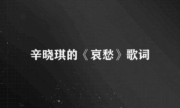 辛晓琪的《哀愁》歌词
