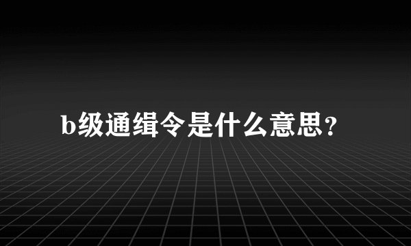 b级通缉令是什么意思?