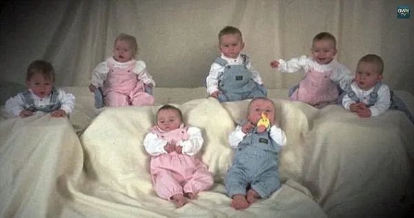 当年生7胞胎的夫妻闲杂怎样了，为什么会怀上多胞胎？