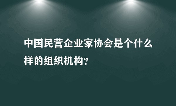 中国民营企业家协会是个什么样的组织机构？
