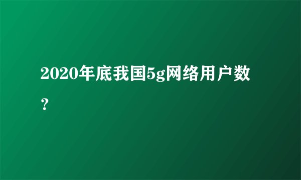 2020年底我国5g网络用户数？