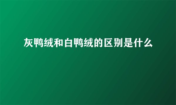 灰鸭绒和白鸭绒的区别是什么