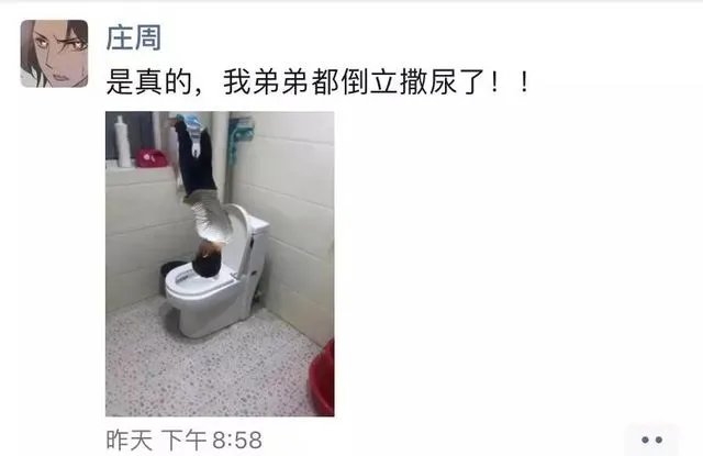 昨天“立扫把”,今天倒立上厕所?沙雕网友的脑洞有多大!