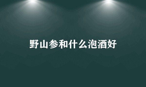 野山参和什么泡酒好
