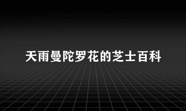 天雨曼陀罗花的芝士百科