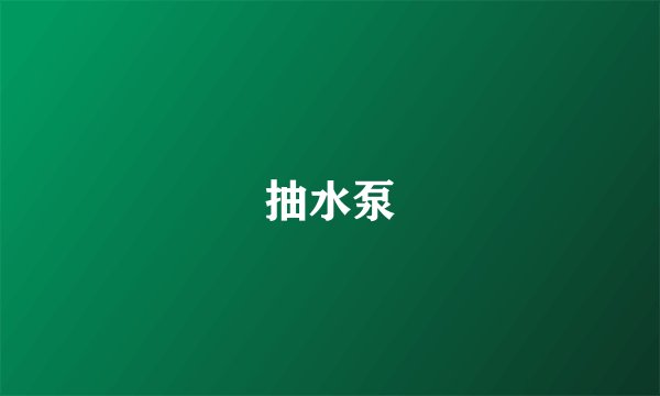 抽水泵