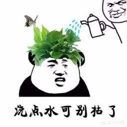 给多肉浇水的秘诀是什么?