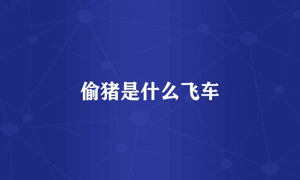 偷猪是什么飞车