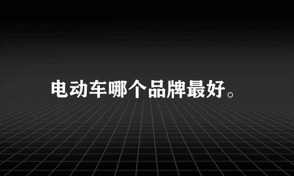 电动车哪个品牌最好。