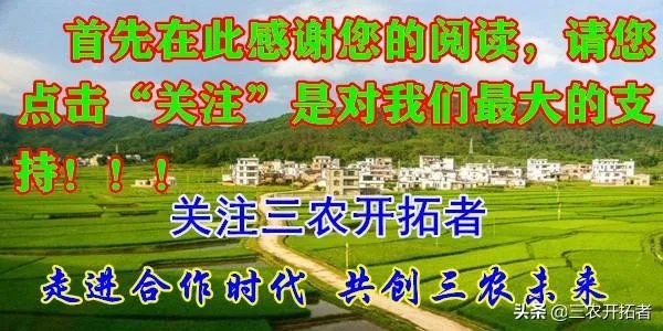 网购农产品和当地市场买有啥区别?