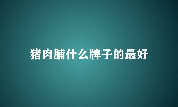 猪肉脯什么牌子的最好