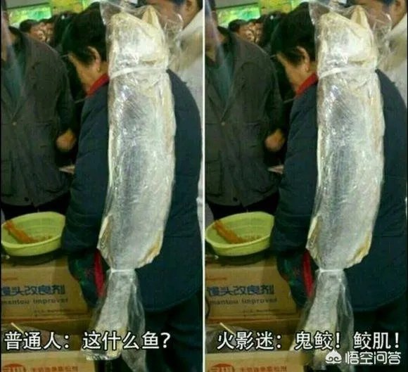 普通人与火影迷有什么区别？