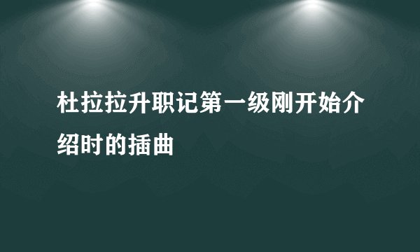 杜拉拉升职记第一级刚开始介绍时的插曲