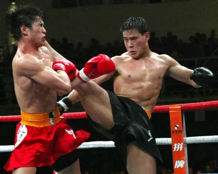 柳海龙为什么退役 柳海龙被黑社会废了真假