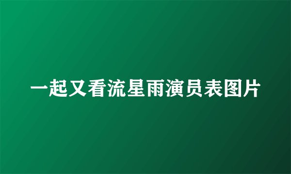 一起又看流星雨演员表图片