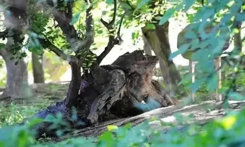 新疆乌鲁木齐有哪些特色?