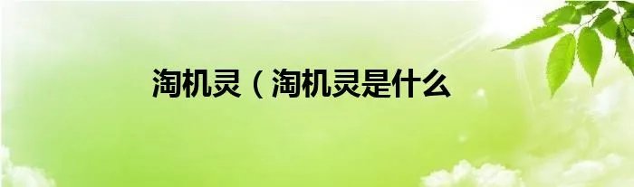 淘机灵(淘机灵是什么