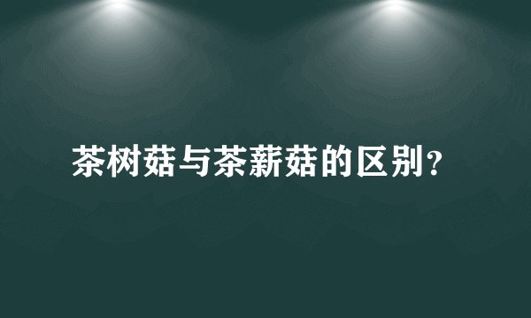 茶树菇与茶薪菇的区别？