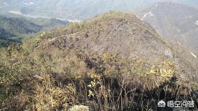 珠海凤凰山景区环境怎么样?值得一游吗?