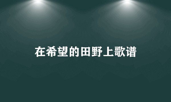 在希望的田野上歌谱