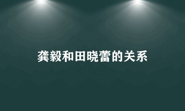 龚毅和田晓蕾的关系