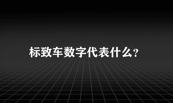 标致车数字代表什么？