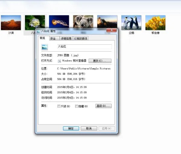 XP系统鼠标放在照片上的照相时间怎么修改