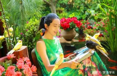 杨丽萍的豪华宫殿被查,内部肮脏不堪,网友直呼封的好,究竟咋回事?