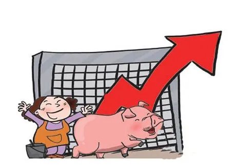猪肉价格连涨7周,接下来猪肉的走势会怎么样?