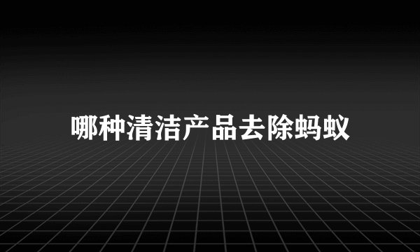 哪种清洁产品去除蚂蚁