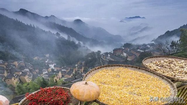 请问上海周边100公里左右自驾游有哪些景点推荐?