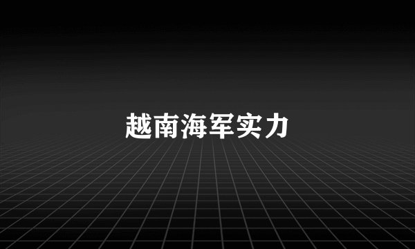 越南海军实力