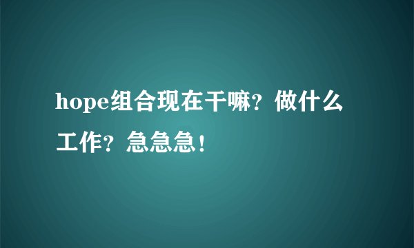 hope组合现在干嘛？做什么工作？急急急！