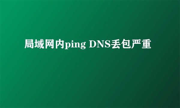 局域网内ping DNS丢包严重