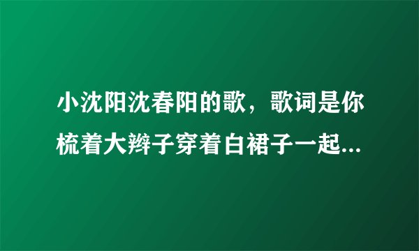 小沈阳沈春阳的歌,歌词是你梳着大辫子穿着白裙子一起攒钱买房子,是什么歌?