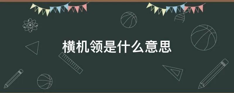 横机领是什么意思