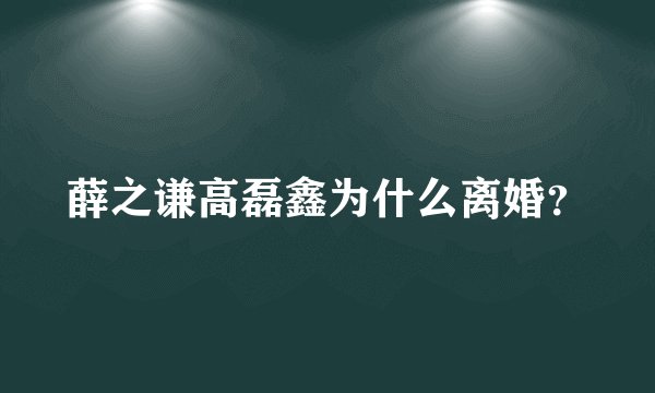 薛之谦高磊鑫为什么离婚？