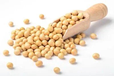 保养子宫和卵巢吃什么 三种食物来帮忙保养子宫和卵巢