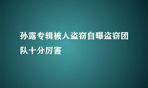 孙露专辑被人盗窃自曝盗窃团队十分厉害