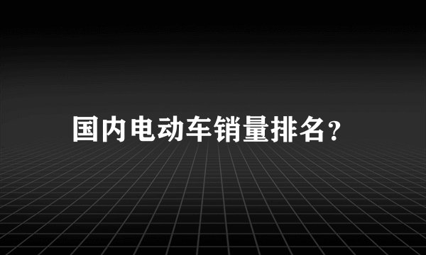国内电动车销量排名？