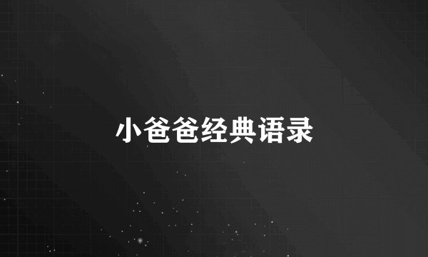 小爸爸经典语录
